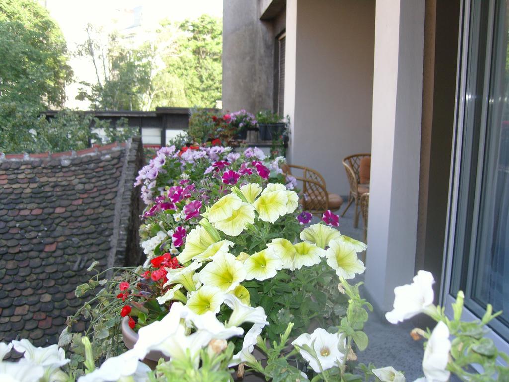 Apartment Deligradska بلغراد المظهر الخارجي الصورة
